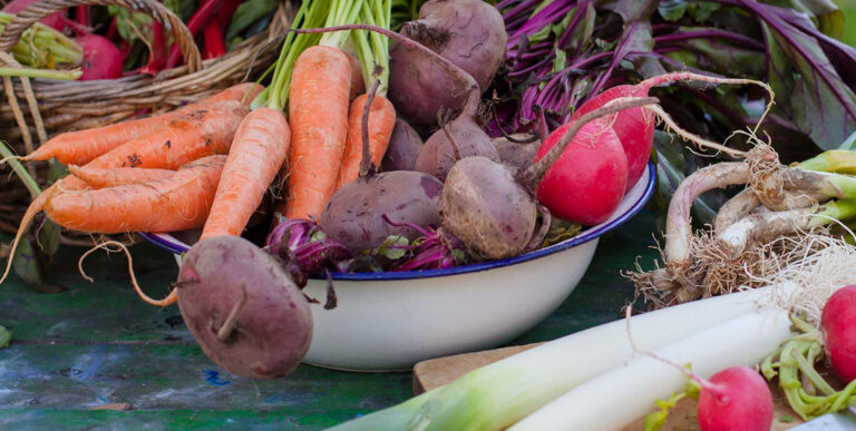 plant based food
